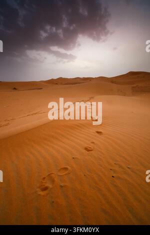 Footprints cross rippled orange sand dunes beneath dark storm clouds in a wide empty desert landscape at dusk. Stock Photo