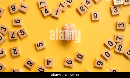 Top View Human Brain Model Centered Among Wooden Number Blocks on Yellow Surface Stock Photo