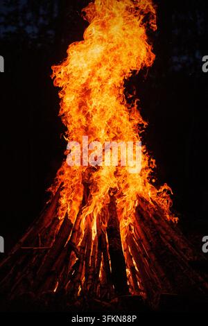A huge stack of burning wooden logs forming a massive campfire with tall bright orange flames. High-contrast shot against a dark night background capt Stock Photo
