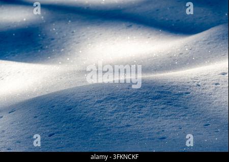 Abstract view of snowdrifts illuminated by winter sunlight, creating flowing waves of snow ranging from deep blue shadows to warm golden highlights wi Stock Photo