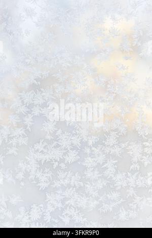 A winter photograph of intricate frost patterns on glass illuminated by a soft, warm golden glow in the background. Stock Photo