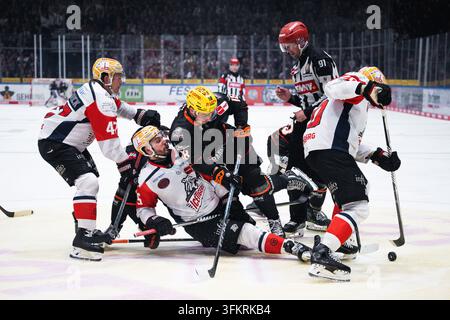 Nikolaus Heigl (Nuernberg Ice Tigers, #15) Hendrik Hane (Iserlohn ...