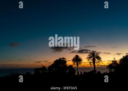 Twilight sky shifts from deep blue to warm orange as palm tree silhouettes stand against horizon and distant city skyline lines shore. Calm sea reflec Stock Photo