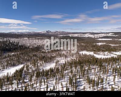 Aerial view of burnt forest landscape with snow-covered ground and distant mountains under a clear blue sky in Oregon, United States. Stock Photo