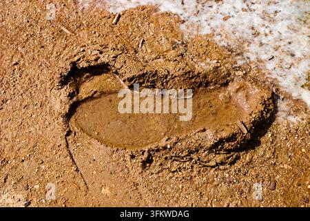 A human footwear impression filled with muddy water marks a sunlit dirt path in Riverside, California, surrounded by textured soil and grit. Stock Photo