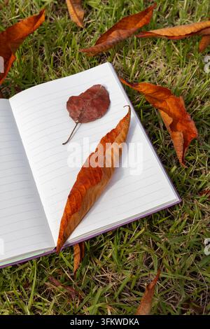 Open Blank Notebook with Dry Autumn Leaves on Grass Stock Photo