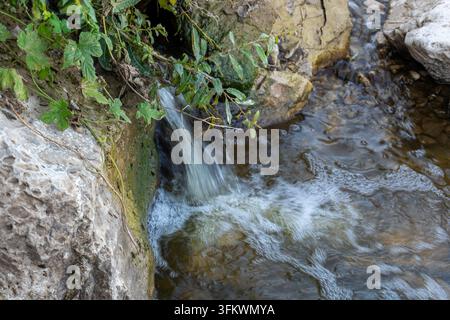 Small natural water spring stream cascading over rocks Stock Photo