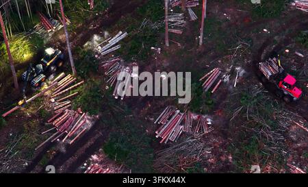 Aerial view of forestry machinery harvesting timber in a forest clearing with piles of logs in Latvia. Stock Photo