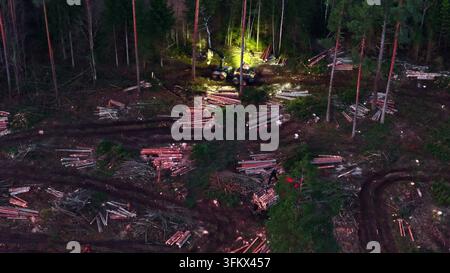 Aerial view of logging machinery working in a forest clearing with stacks of timber and tire tracks in Latvija. Stock Photo