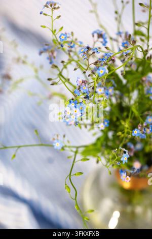 Beautiful fresh forget-me-not flowers in glass vase, top view, soft focus Stock Photo