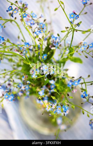 Beautiful fresh forget-me-not flowers in glass vase, top view, soft focus Stock Photo
