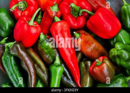 Close-up of fresh ripe colorful red and green bell peppers, top view Stock Photo