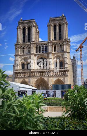 Notre Dame Cathedral under construction after the fire, Paris, France Stock Photo