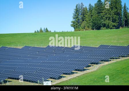 Großflächige Photovoltaikanlage auf einer grünen Wiese am Waldrand. Zahlreiche Solarmodule erzeugen Strom aus Sonnenenergie. Photovoltaik, Solaranlage, Solarpark, Solarmodule, Solarenergie, Sonnenenergie, erneuerbare Energien, Energiewende, Stromerzeugung, Energieversorgung, Ökostrom, Klimaschutz, Nachhaltigkeit, Energiepolitik, Energieinfrastruktur, Landwirtschaft, Freiflächenanlage, Wiese, Symbolfoto. *** Large-scale photovoltaic system on a green field at the edge of the forest numerous solar panels generate electricity from solar energy photovoltaics, solar system, solar farm, solar panels Stock Photo