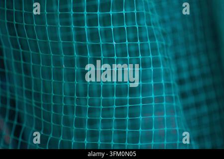 Green grid background. geometrically distorted texture grid. Selective focus Stock Photo