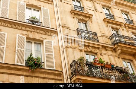 Paris architecture with Haussmann facade with open shutters, iron balconies, flower plants in window boxes and classic building details Stock Photo