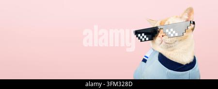 Stylish Burmese cat in trendy pixel glasses on a pink background. Copy space Stock Photo