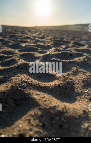 This photograph captures a close-up view of rippled sand dunes bathed in the warm glow of the setting sun, creating an abstract and textured landscape Stock Photo