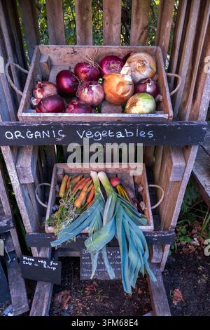 Organic Vegetables display on sale in village shop Stock Photo