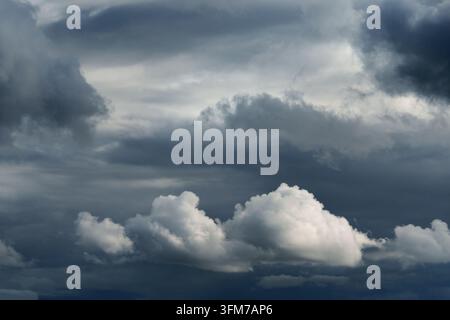 Dramatic skyscape featuring a thick layers of dark grey storm clouds contrasted by a bright white fluffy cumulus cloud catching the light in the lower Stock Photo