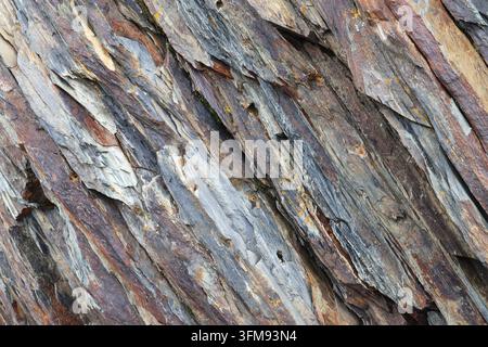 Macro texture of a rugged mountain rock face showing extreme detail of overlapping slate stone layers forming natural diagonal striations Stock Photo