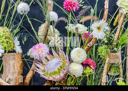 Floral arrangement featuring dahlia blooms, protea, greenery, arranged naturally in rustic containers wooden stumps, glass bottles, earthy feel, vibra Stock Photo