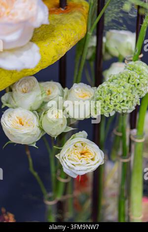 Vibrant flower arrangement featuring roses and green carnation, vertical composition, rustic string tie, deep blue background, soft diffused lighting, Stock Photo