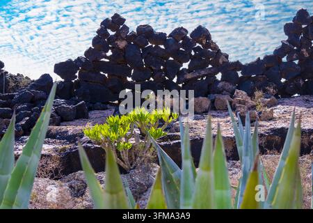 A traditional volcanic stone wall in Lanzarote. Basalt rock blocks under a cloudy sky with green agave plants in the foreground, Canary Island, Spain. Stock Photo