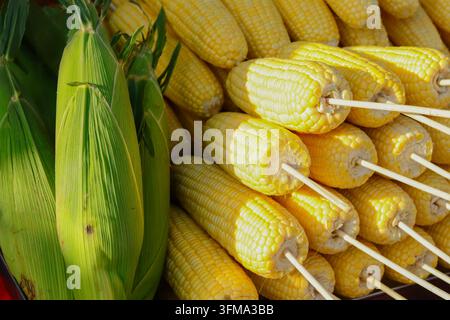 Raw sweet corn skewers stacked beside whole green husked ears in direct sunlight at a local food market stall in Thailand. Stock Photo