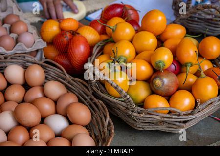 Brown and white eggs in a cardboard carton beside wicker baskets overflowing with bright orange and red tamarillos at a bustling farmers market, fresh Stock Photo