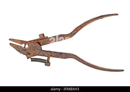 An ancient tool for wiring the teeth of the saw. Rusty hand tool on a white background. Stock Photo