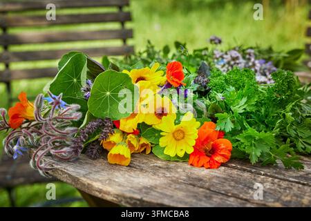 Herbs and edible flowers on a garden table. Germany Stock Photo