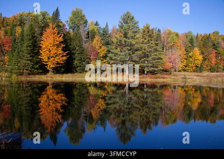 Autumn foliage reflection in a calm lake in Vermont during peak fall season Stock Photo