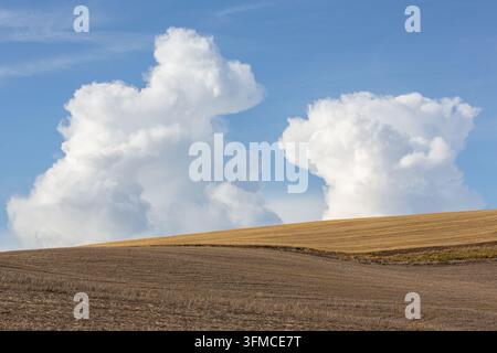Dramatic cumulus clouds tower over rolling harvested farm fields Stock Photo