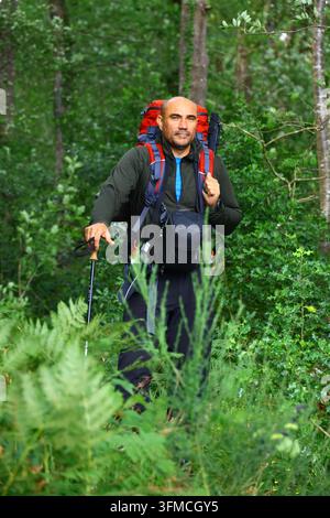 Mature man with a backpack hiking in a lush green forest Stock Photo
