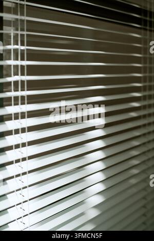 Sunlight Filtering through Modern Office Window Blinds Stock Photo