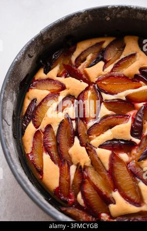 Homemade plum pie with garden plums in a baking dish, freshly baked seasonal dessert, cozy autumn and winter homemade baking Stock Photo