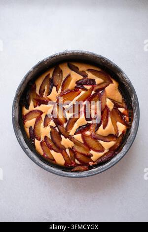 Homemade plum pie with garden plums in a baking dish, freshly baked seasonal dessert, cozy autumn and winter homemade baking Stock Photo
