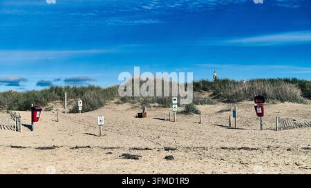 A dog walker approaches "information beach" on the Lancashire coast,UK Stock Photo