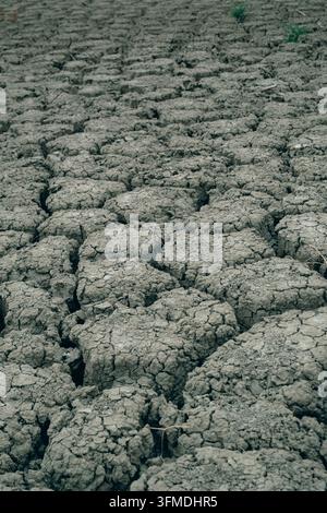 Full frame horizontal background of dried grey mud with deep cracks and clods Stock Photo