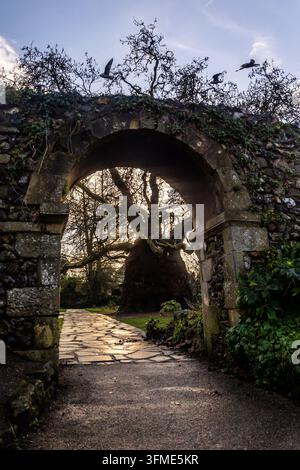 Looking through a medieval stone folly arch, framing an ancient majestic Baobab Oriental Plane tree in the West Gate Gardens, Canterbury, Kent, UK. Stock Photo