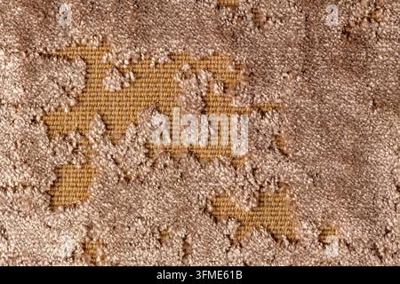 Macro view of plush beige velvet fabric with distressed golden woven sections. Warm studio lighting highlights the rich tactile sheen and intricate su Stock Photo