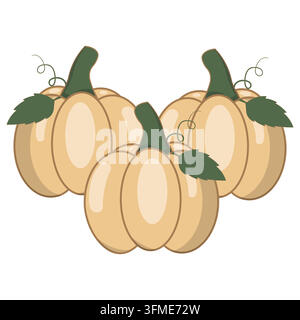Cute autumn pumpkin illustration vectors. Three pumpkins with green leaves and curly vines isolated on white background for thanksgiving or halloween Stock Vector