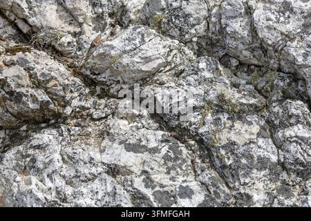 Close-Up Texture of Weathered White Limestone Rocks With Lichen and Moss in Mountain Terrain Stock Photo