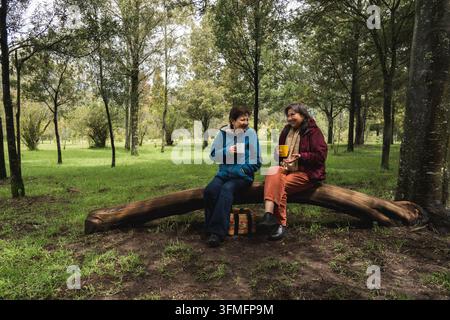 Two elderly women friends sitting on a log, drinking coffee, and talking in a forest park Stock Photo