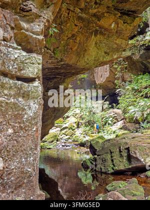 Hiker on the Grand Canyon Walk in the Blue Mountains Stock Photo