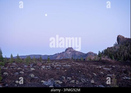 A full moon rises over lava fields and Canary pines at dusk in Teide National Park. Calm and scale for wellbeing travel and astronomy tourism content. Stock Photo