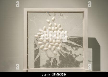 eggs on the spider web, art installation featuring numerous small, oval, egg-shaped objects arranged in a cluster on a translucent, cracked glass-like Stock Photo