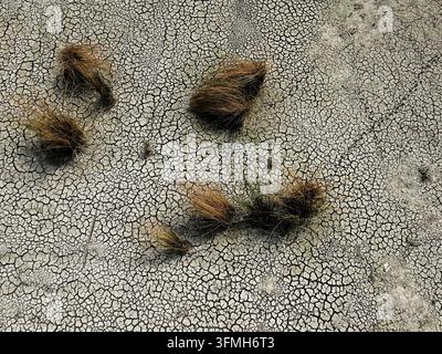 Aerial view of parched earth split into a mosaic of curling, sun-baked clay plates, a stark record of prolonged drought and vanishing water. Stock Photo