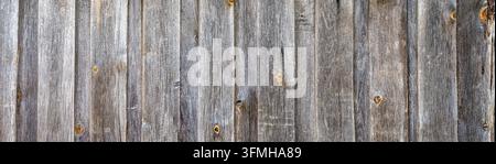 High resolution panoramic texture of weathered wooden planks, showing a rustic grey timber wall surface with pronounced wood grain and knots, ideal fo Stock Photo